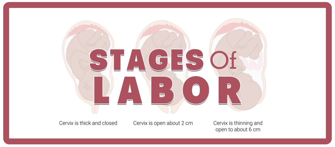 Stages of Labour